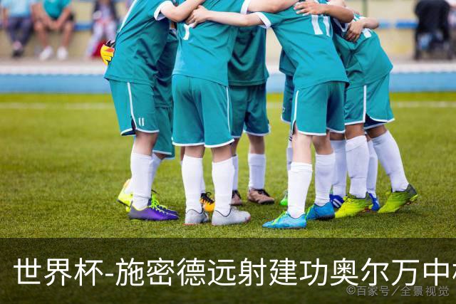 世界杯-施密德远射建功奥尔万中框 半场奥地利1-0约旦
